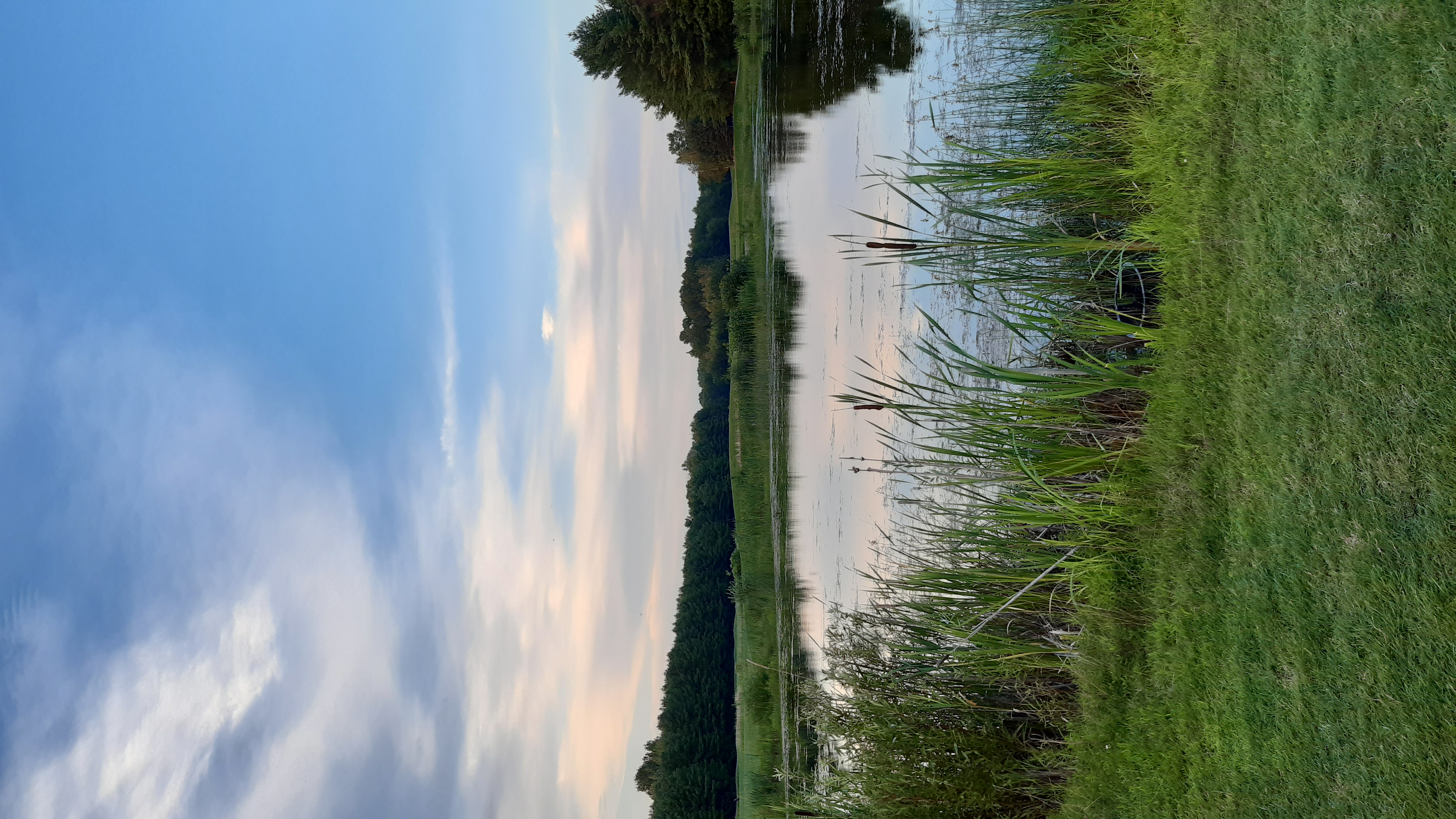 Grassy fields and pond on a golf course
