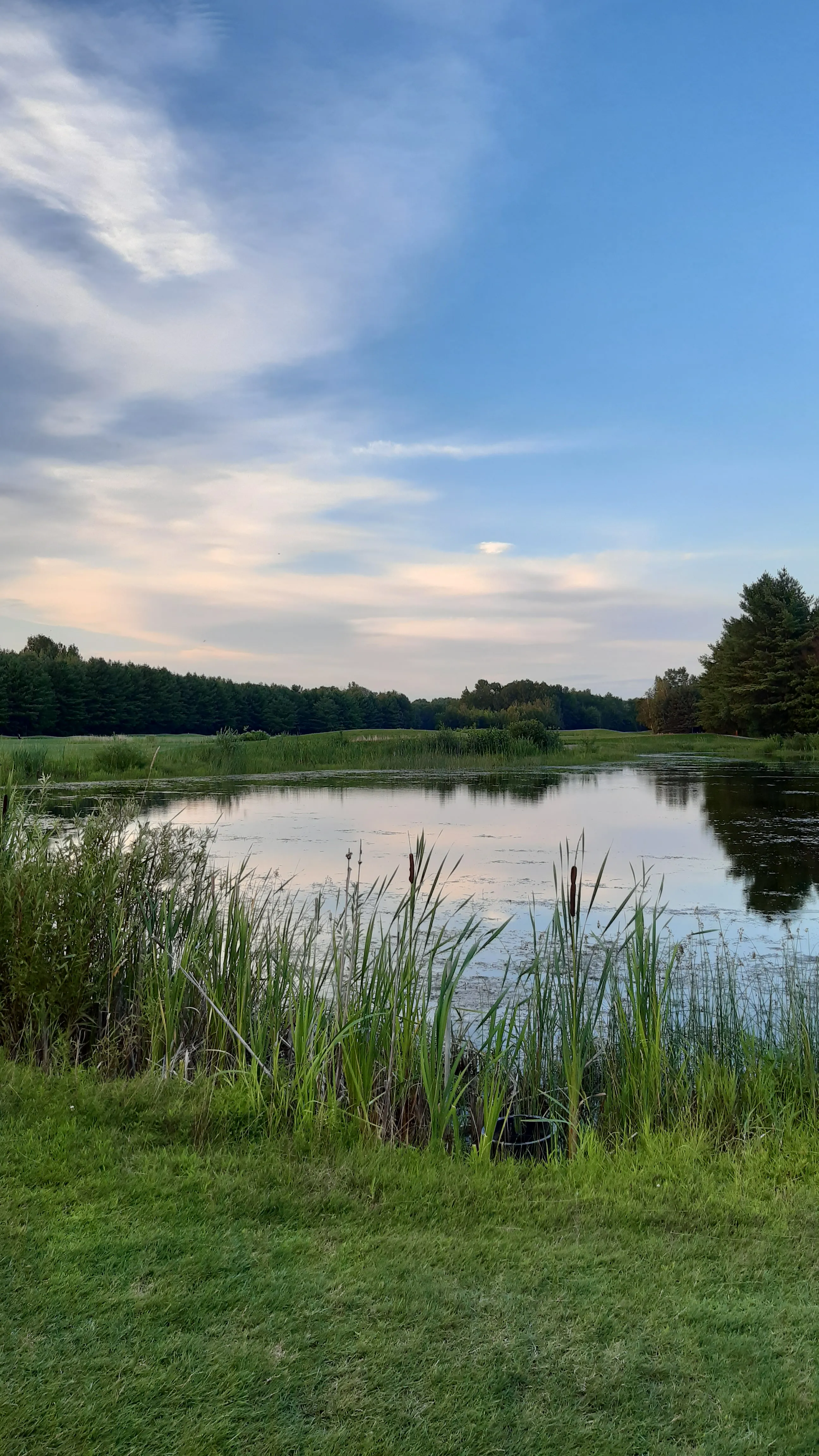 Grassy fields and pond on a golf course