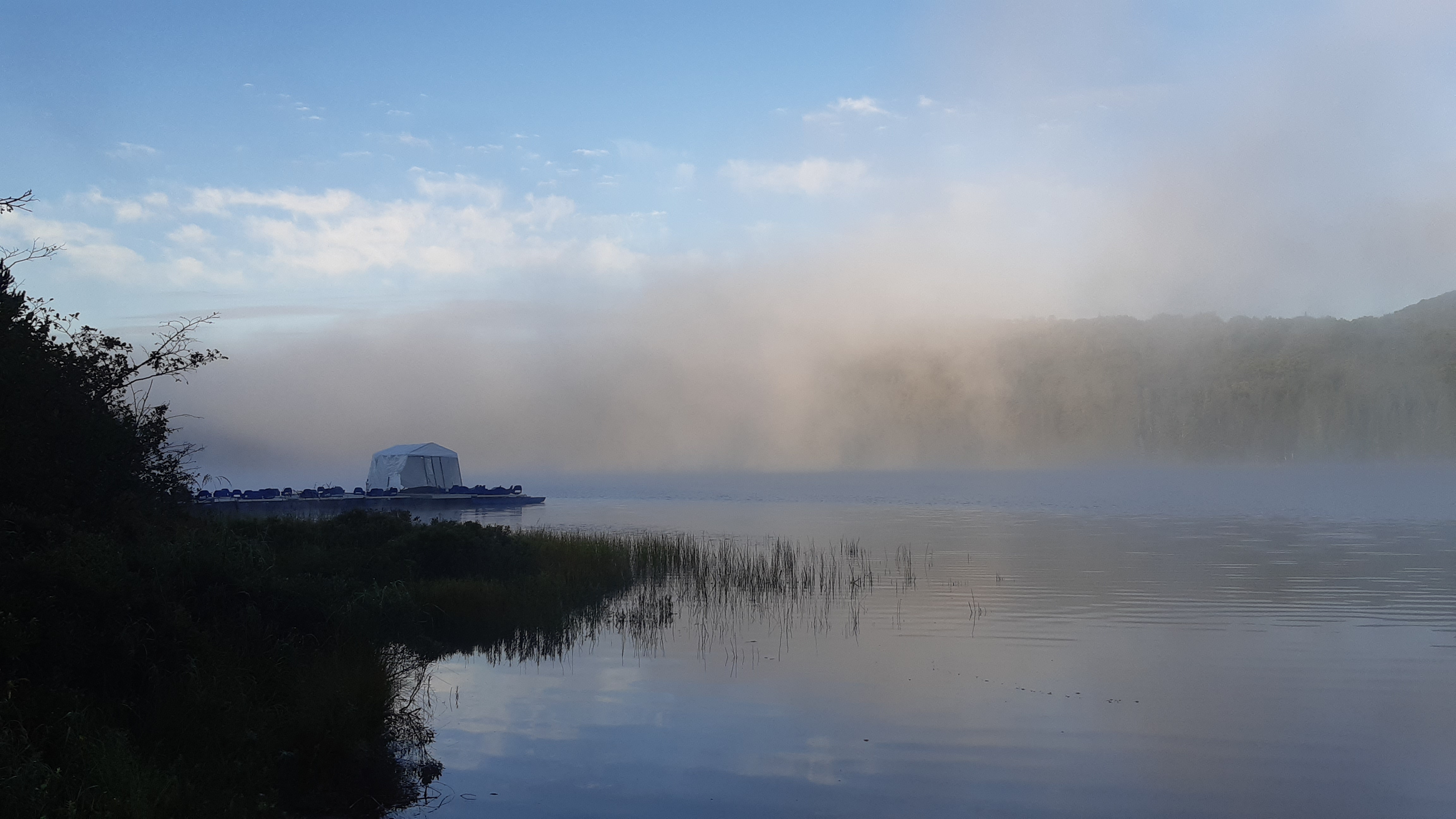 Lake covered with fog