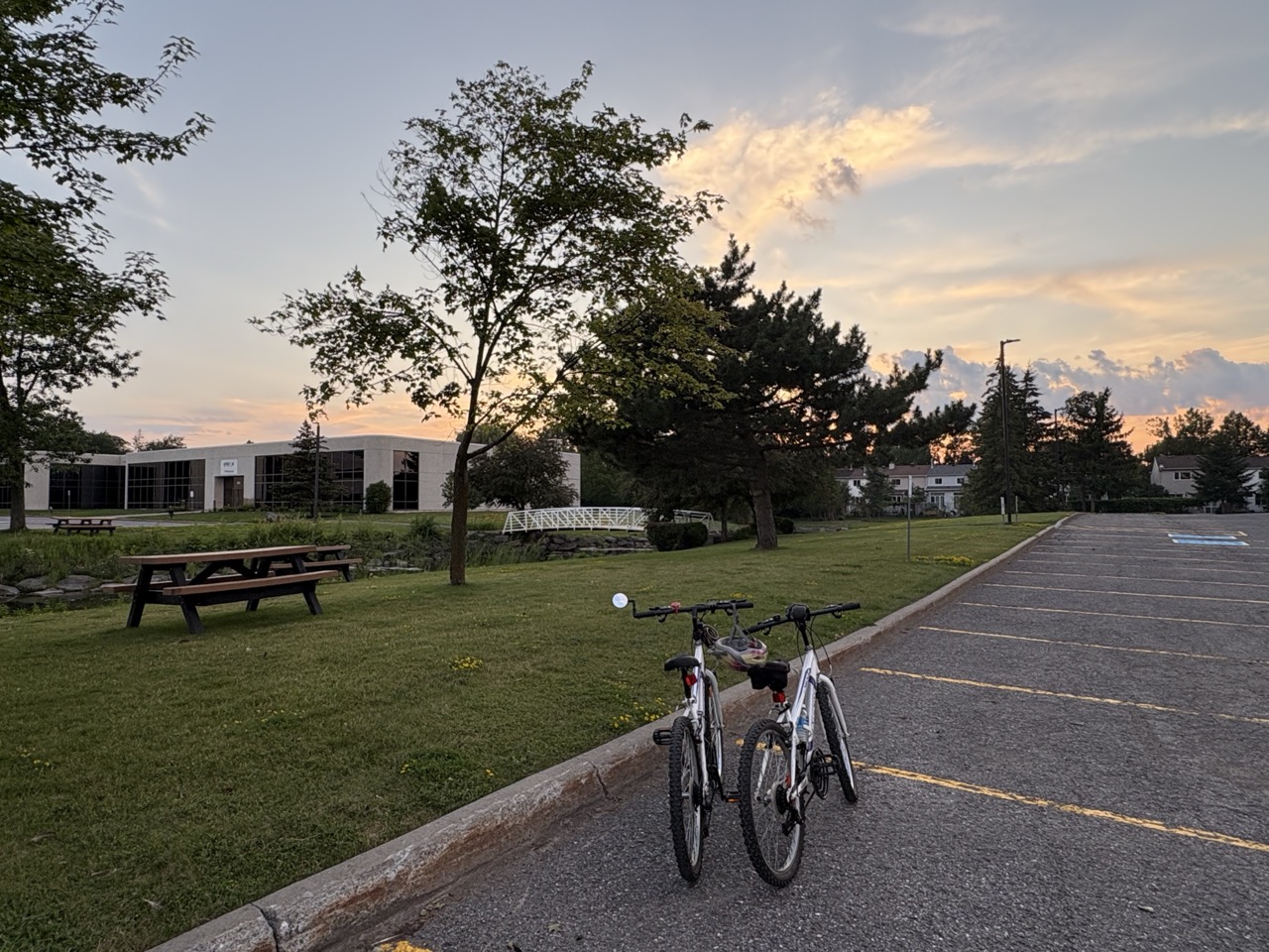 Two bikes in front of trees and picnic tables at sunset
