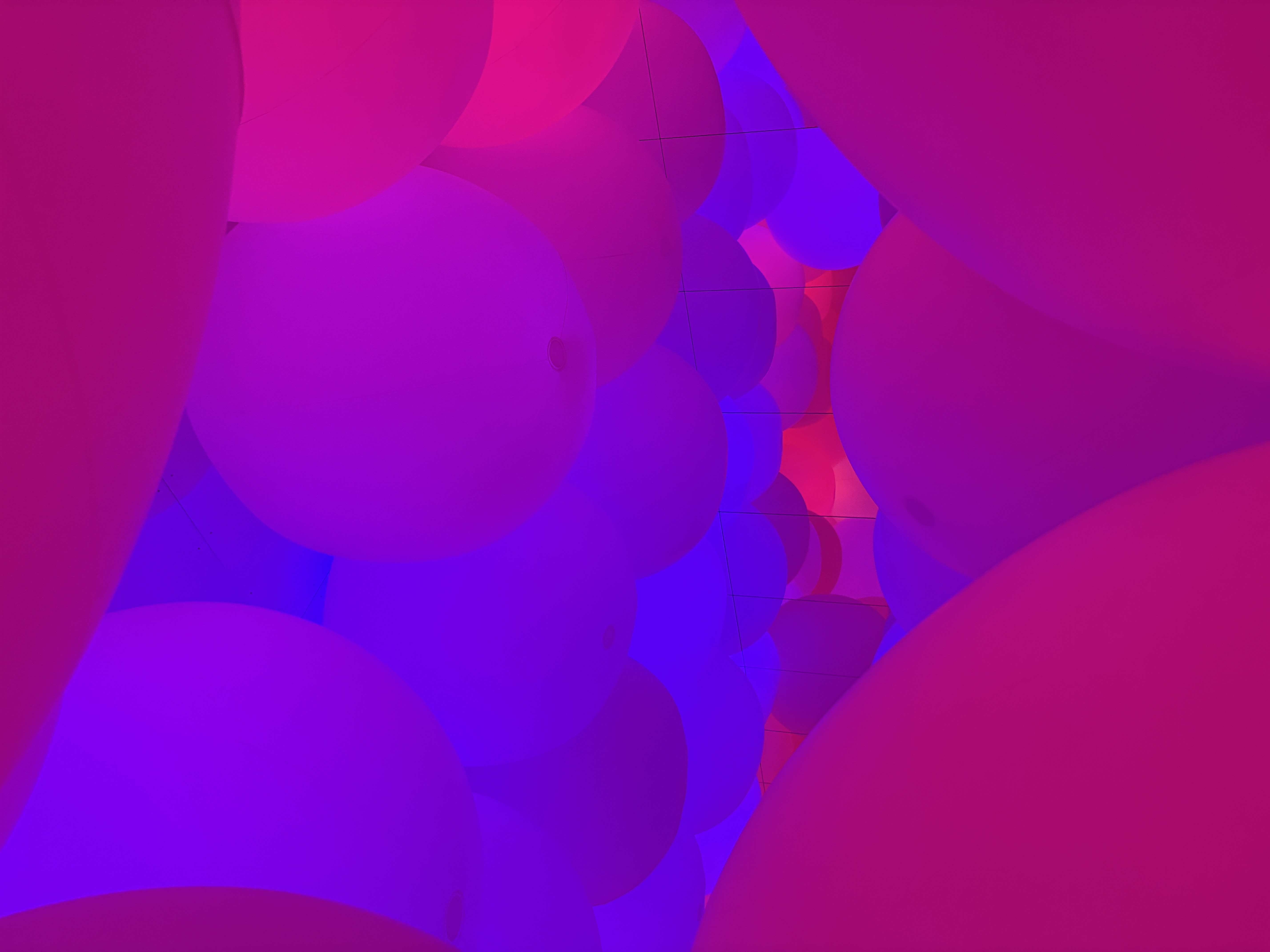 Giant pink balloons