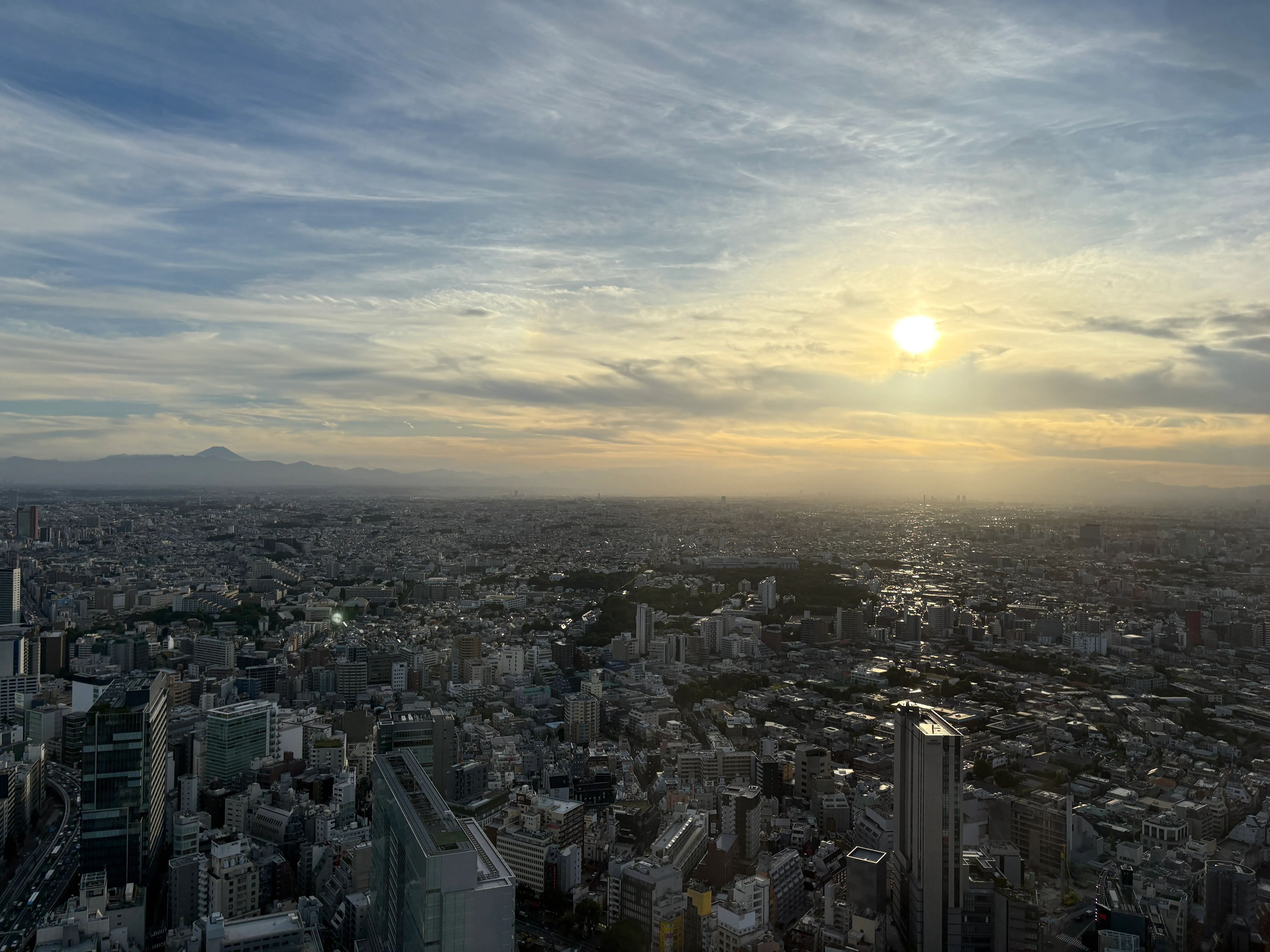 Tokyo city skyline at sunset