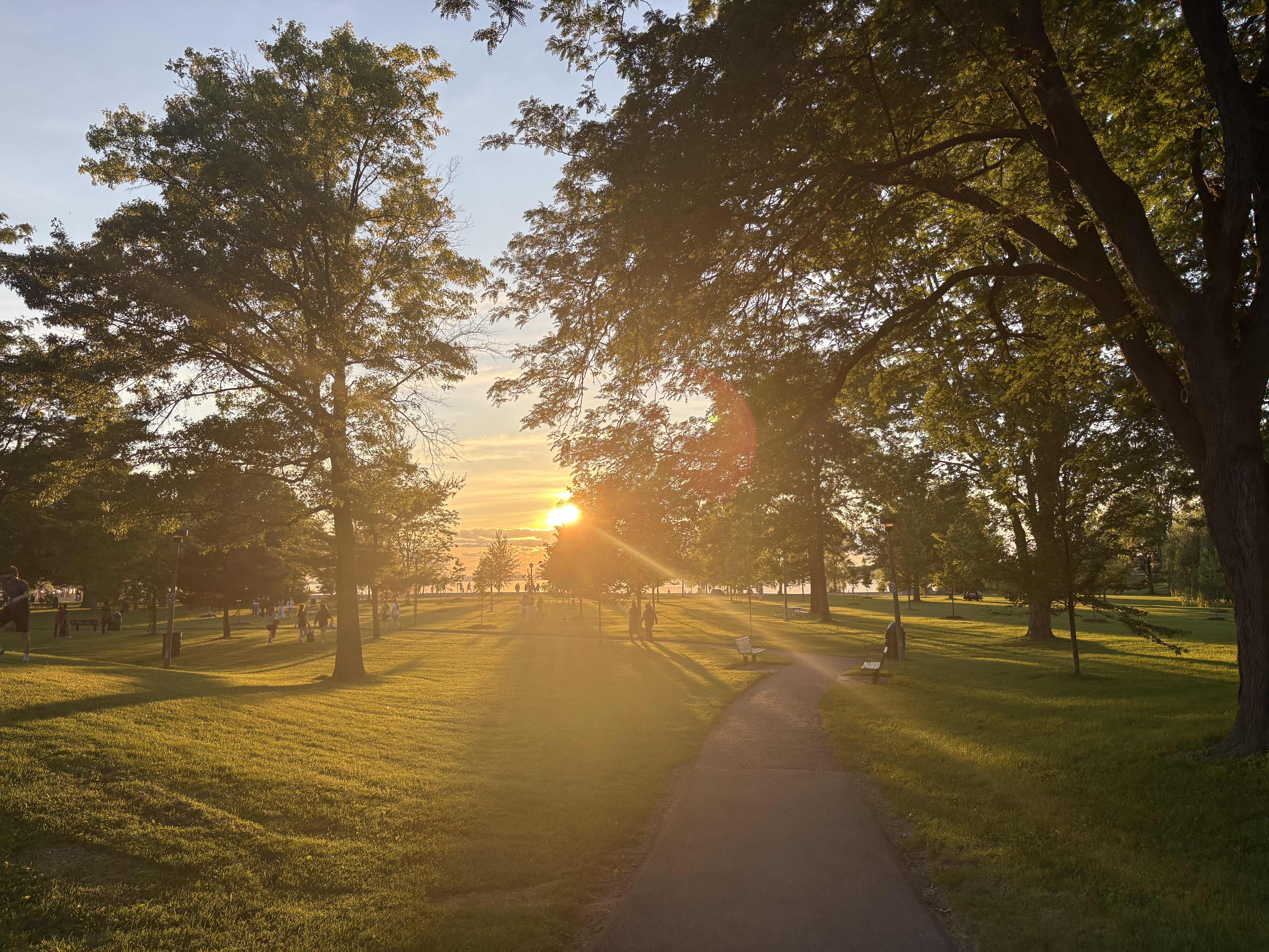 Setting sun peeking through trees