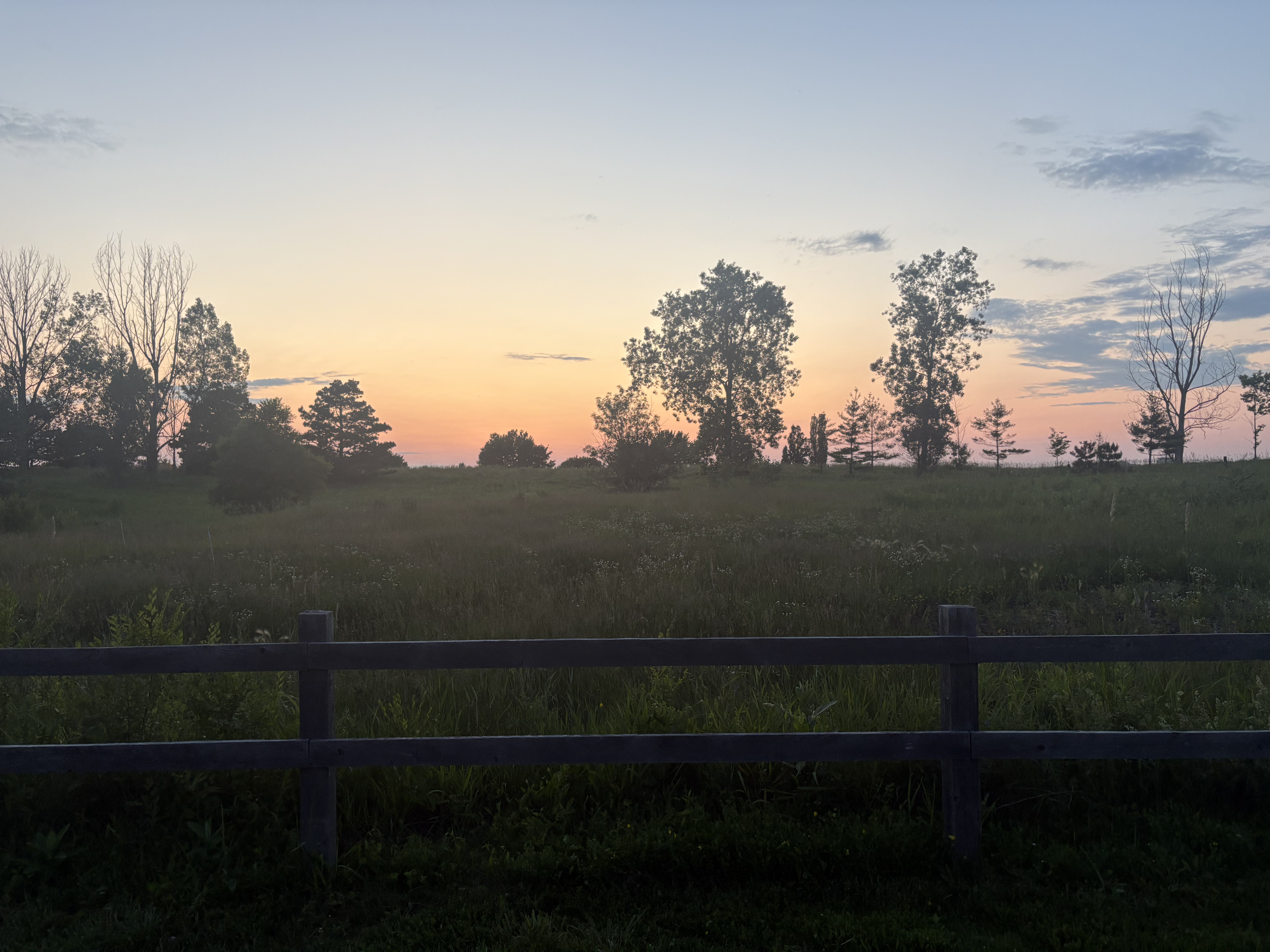 Sunset in a field
