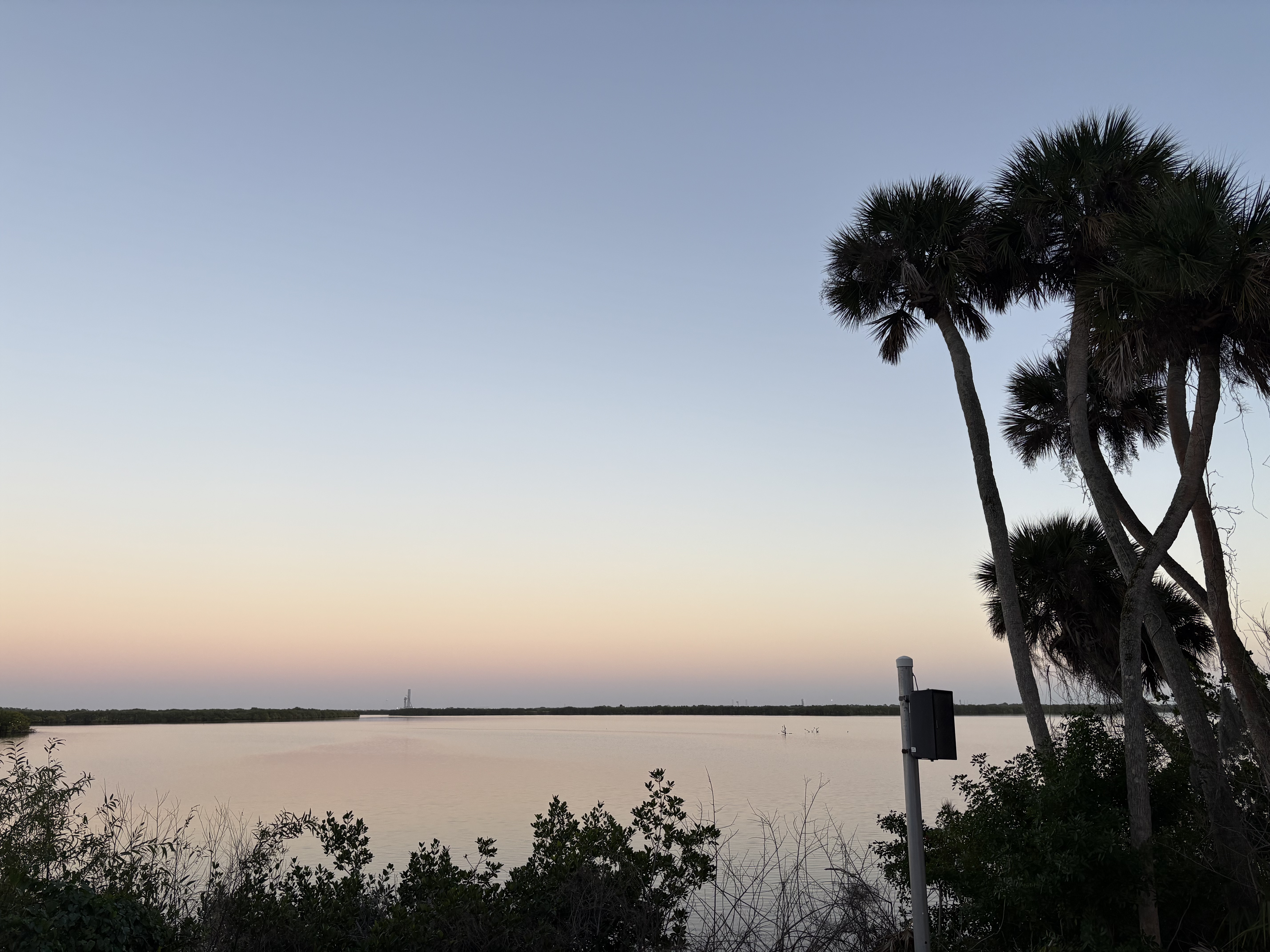 Pink and blue sunset with palm trees
